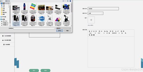 基于Django与Vue的高校体育器材管理系统的设计与实现